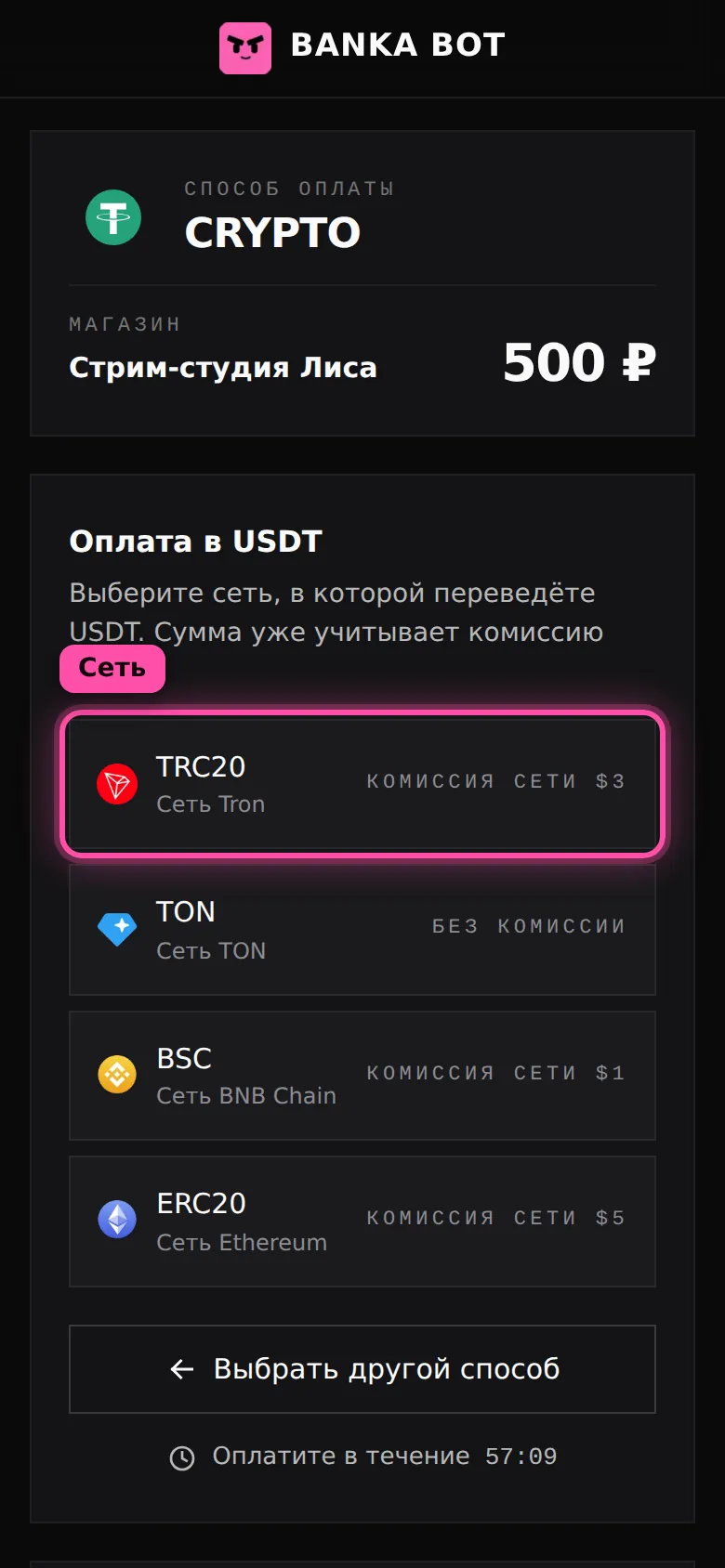 Экран оплаты в USDT: выбор сети TRC20, TON, BSC или ERC20 с суммой к переводу, сеть TRC20 обведена рамкой